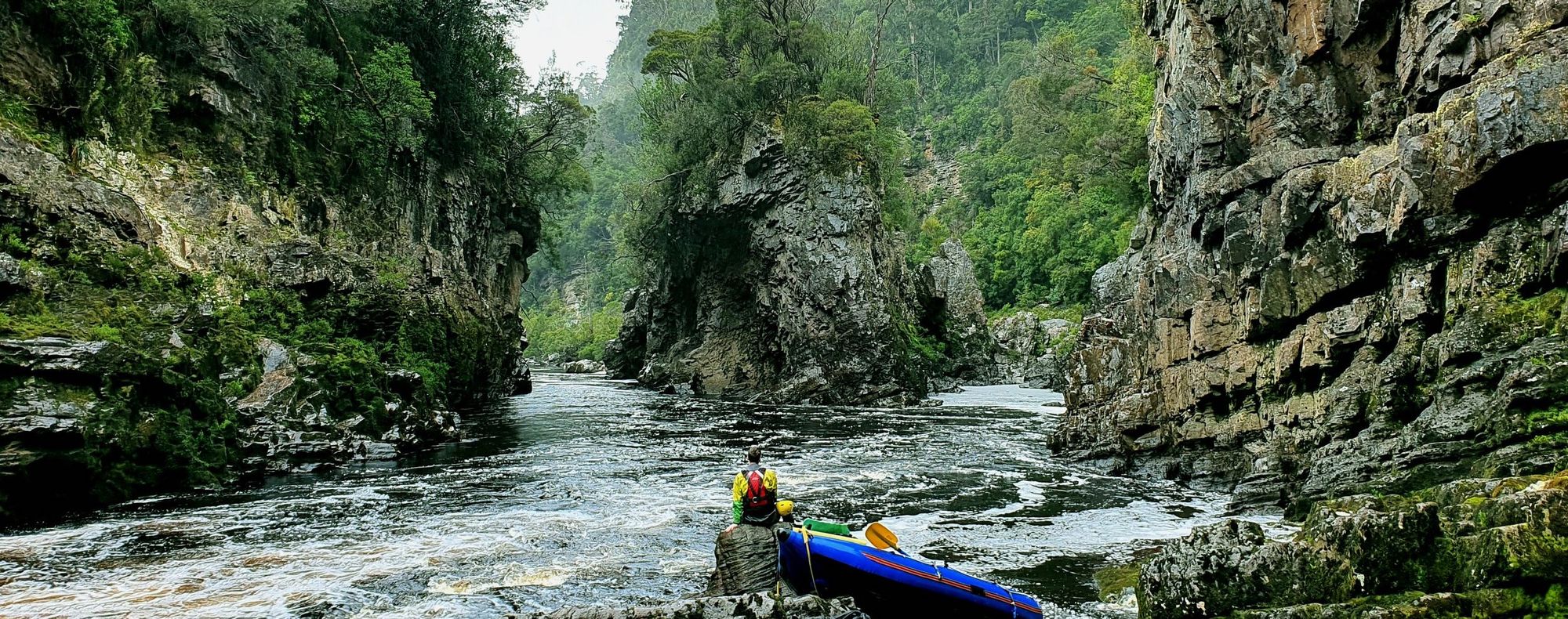 Like Father, Like Son:
Retracing the Oar Strokes of the Greatest Aussie Enviro Protest Ever