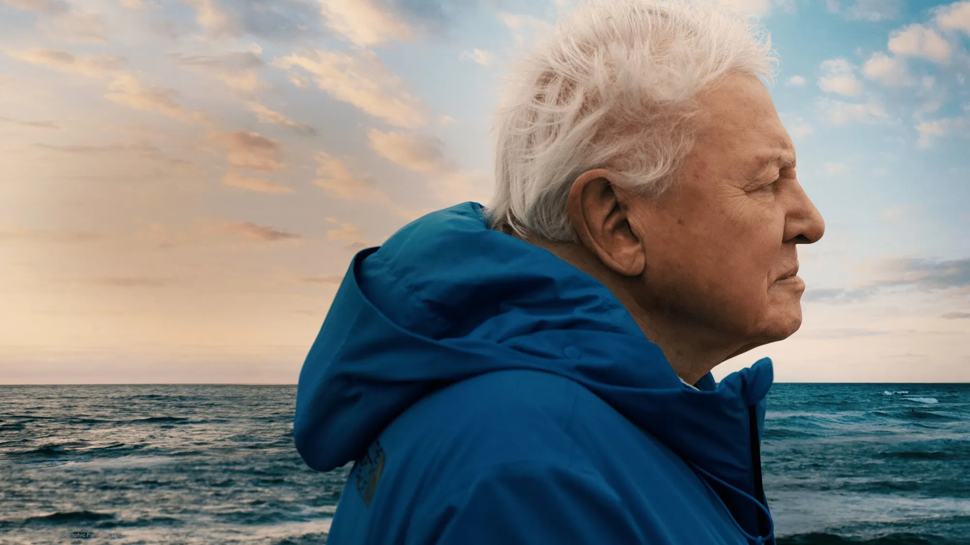 Ocean is David Attenborough’s Most Important Parting Gift