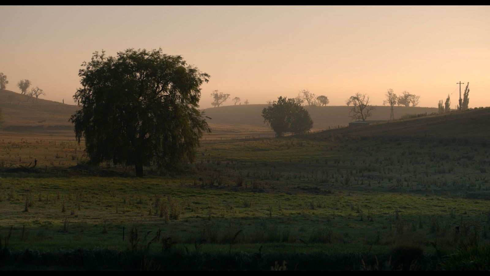 A landscape from Alphabet Lane, showing a foggy pink tinged morning on the Monaro Plains.