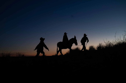 Silhouette of three figures and a donkey at sunset in Wolfram, Warwick Thornton's 2026 Australian film